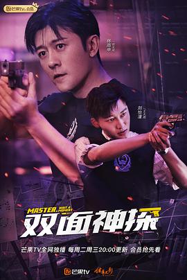 双面神探第17集