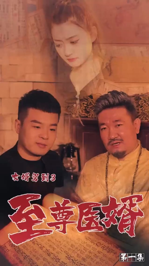 女婿驾到3第02集