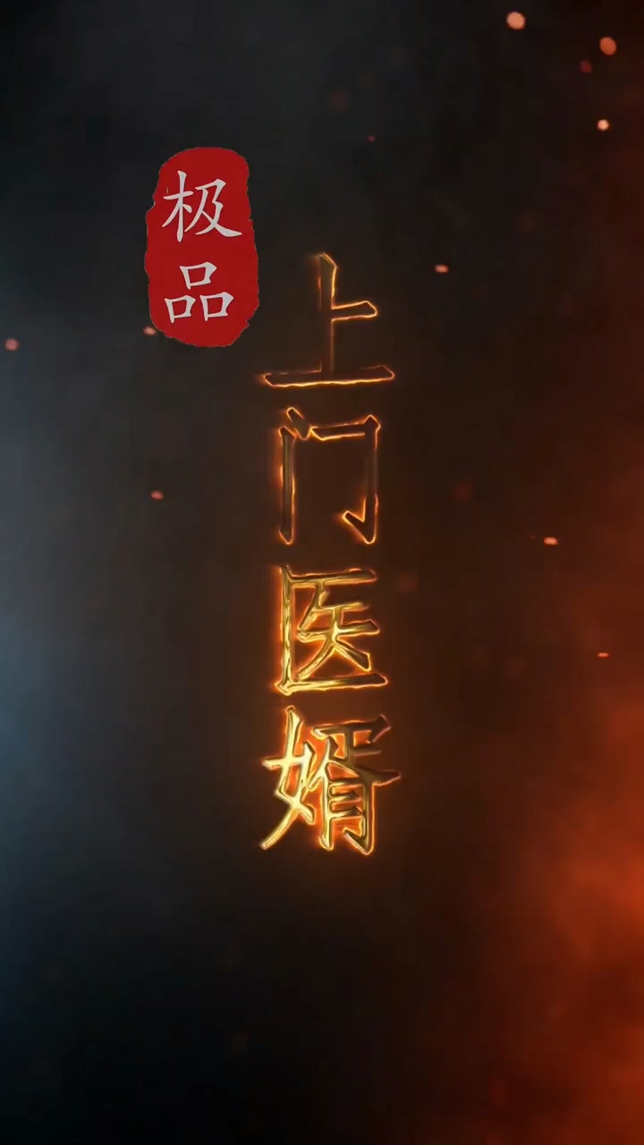 极品上门医婿第41集