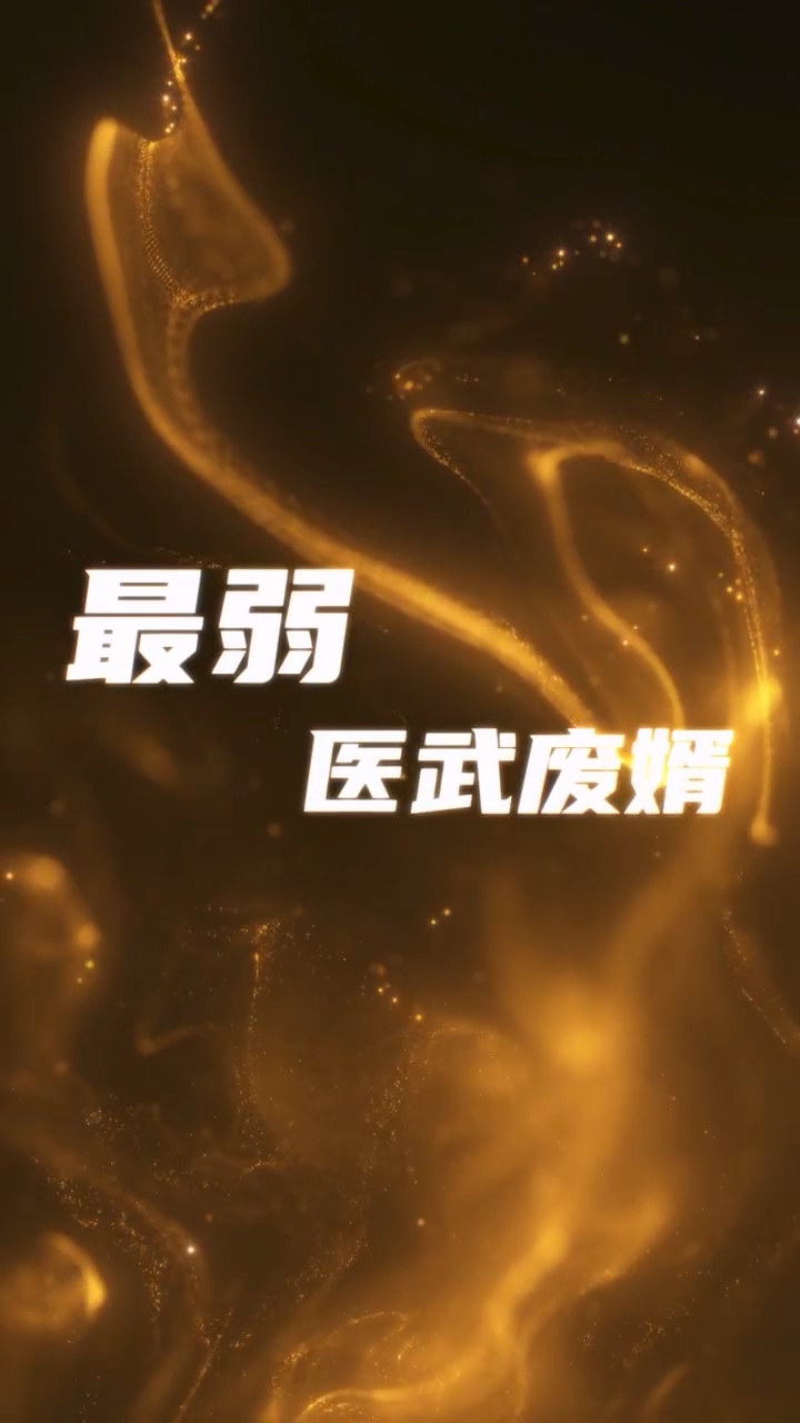 最弱医武废婿第08集