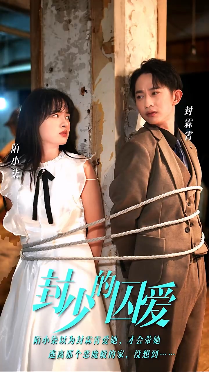 封少的囚爱第96集
