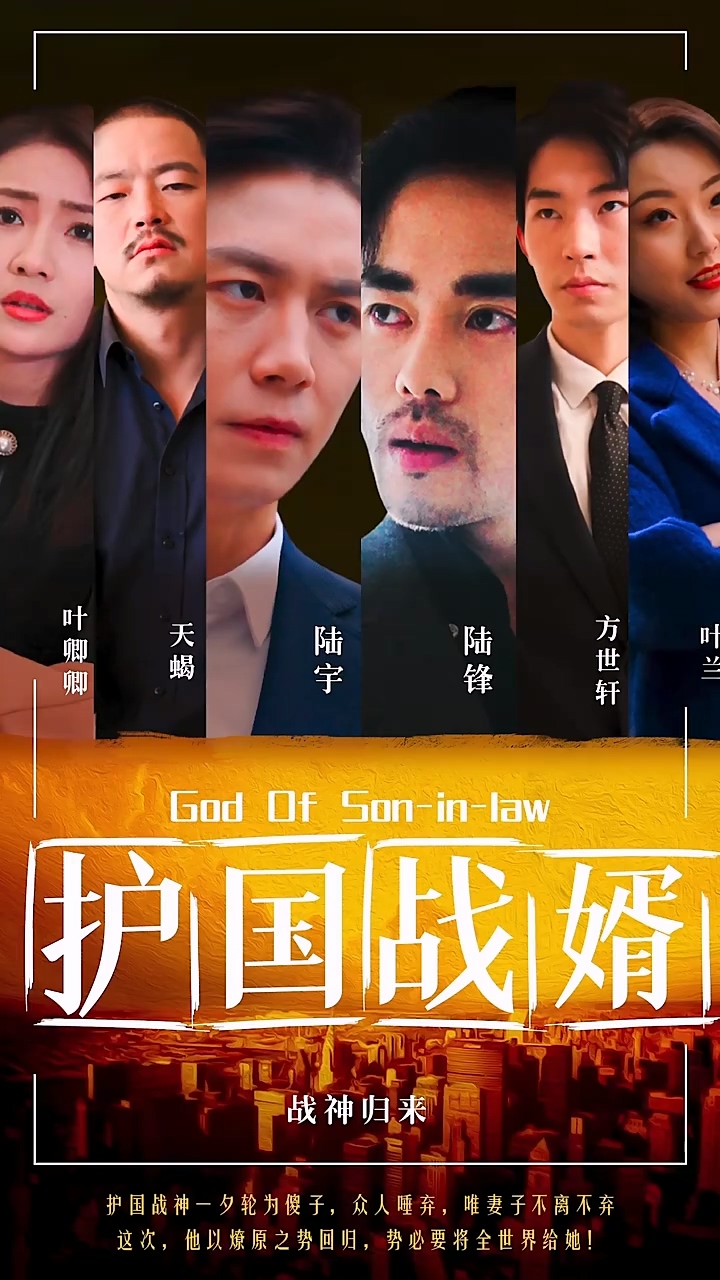护国战婿第39集