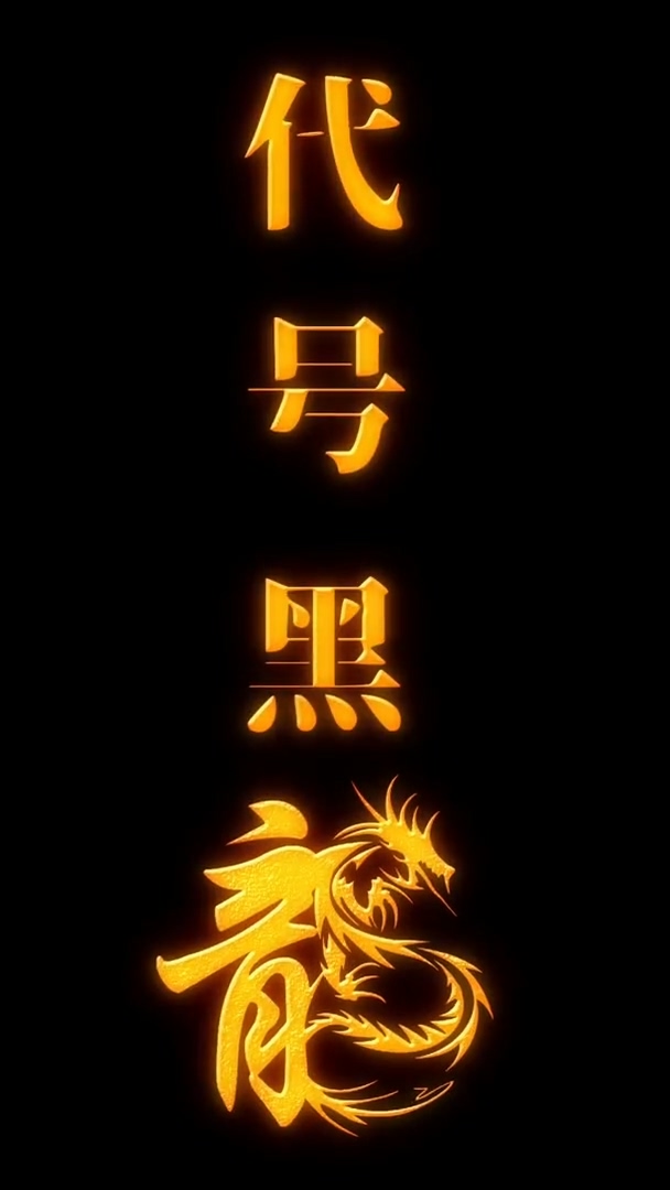 代号黑龙第28集