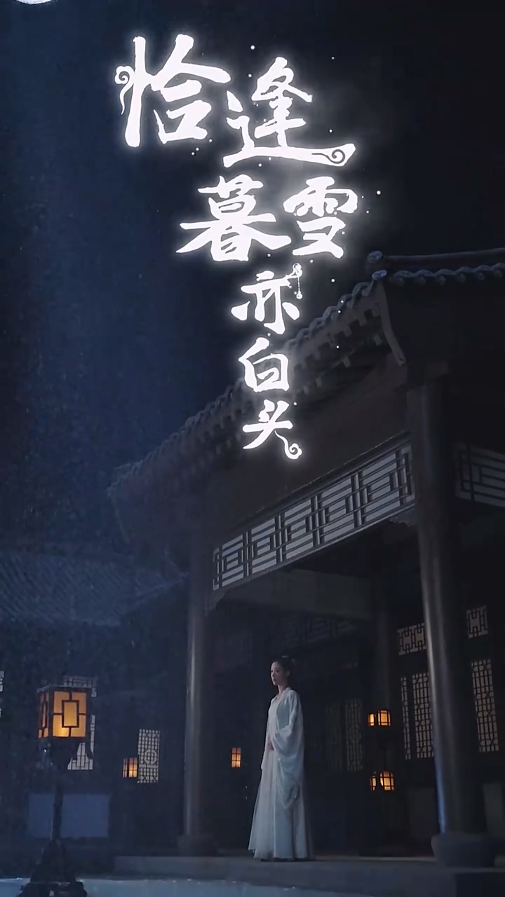 恰逢暮雪亦白头第39集