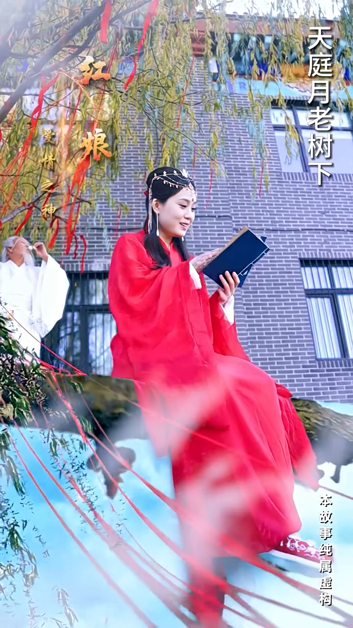 红娘下凡追夫记第39集