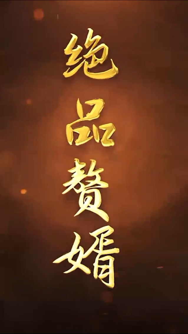 绝品赘婿第39集