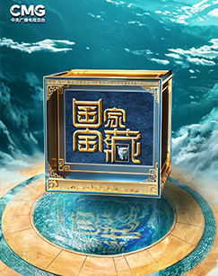 国家宝藏第四季20240804加更版3(大结局)