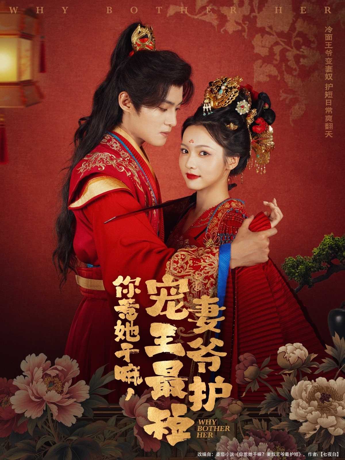 你惹她干嘛，宠妻王爷最护短第09集
