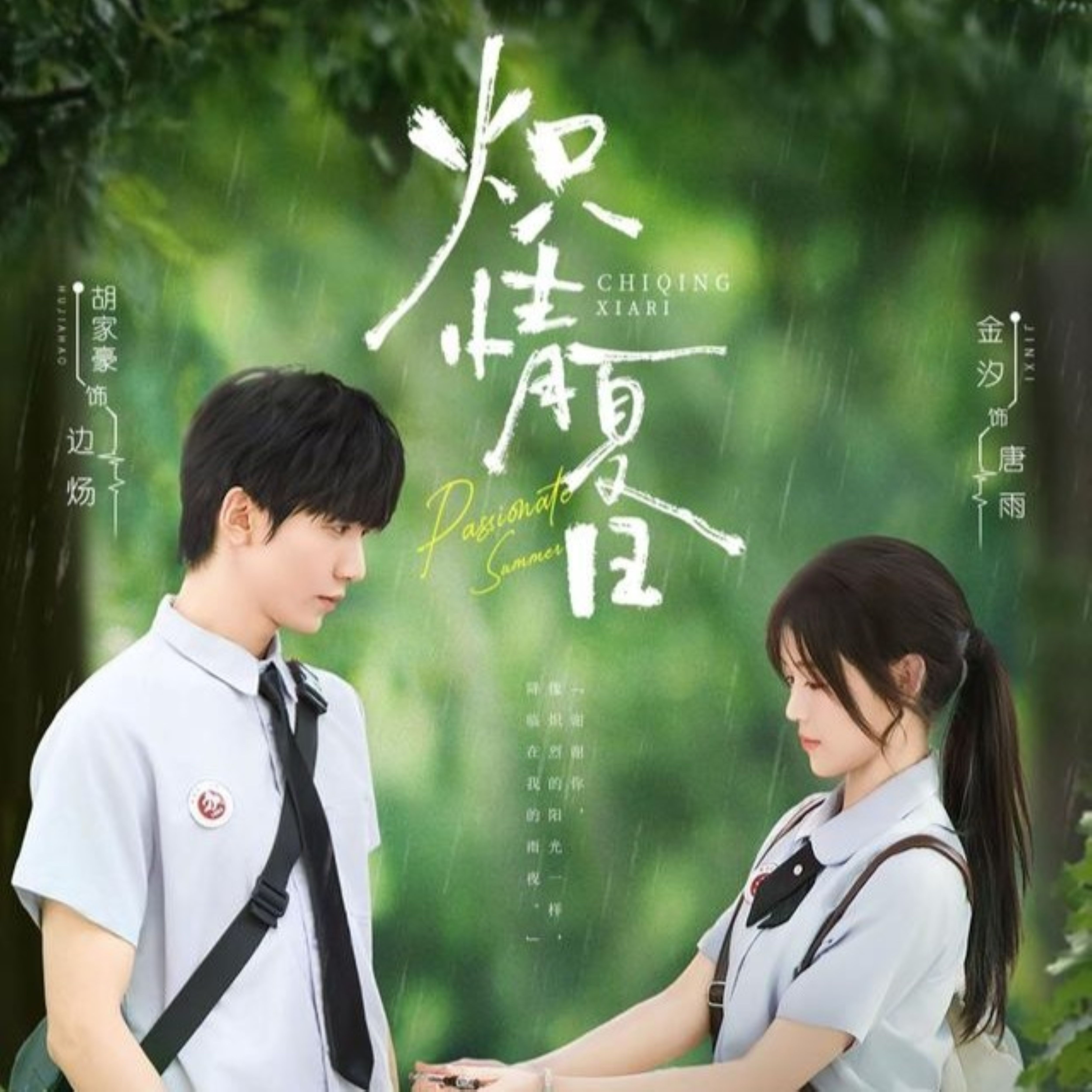 炽情夏日第31集