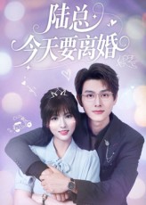 陆总今天要离婚第16集