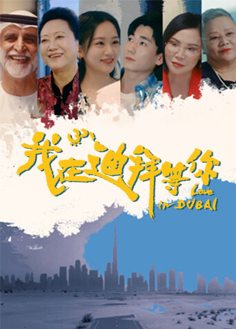 我在迪拜等你第11集