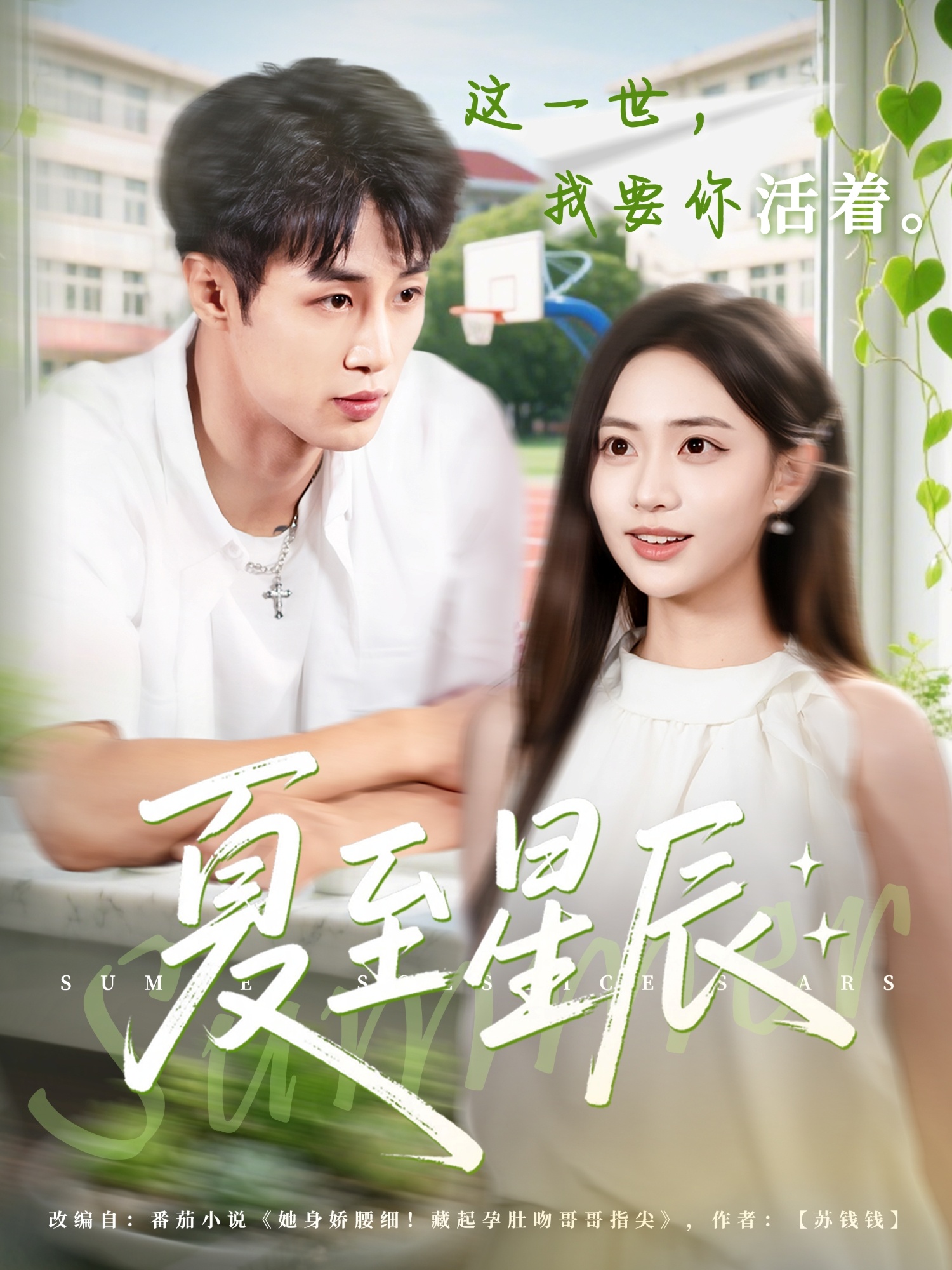 夏至星辰第26集