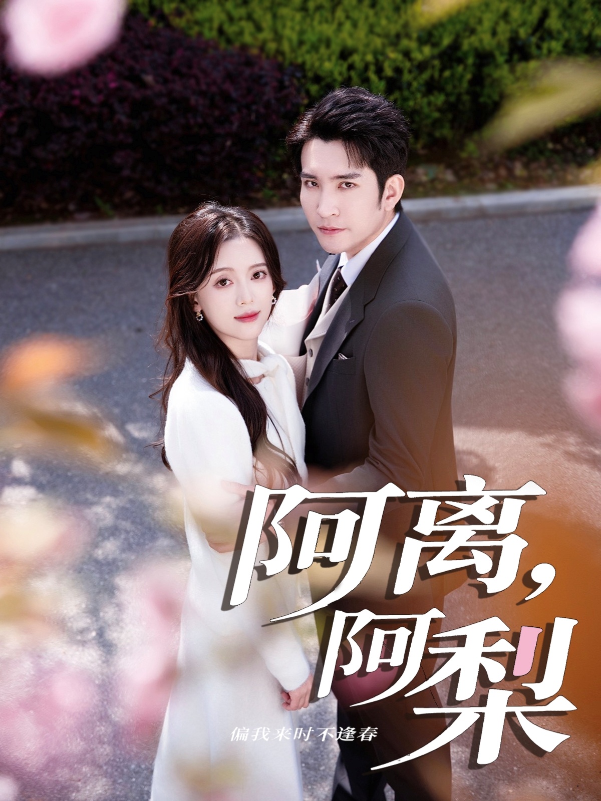 阿离阿梨(全集)