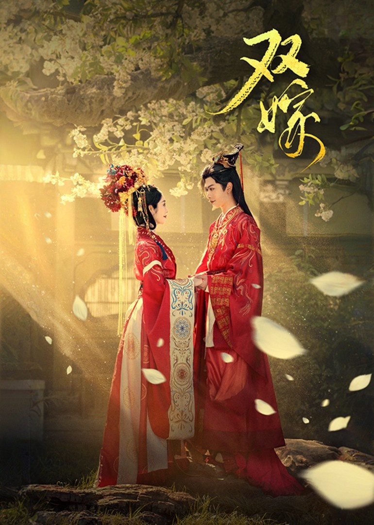 双嫁第07集