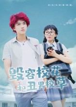 毁容校花和丑男校草第33集