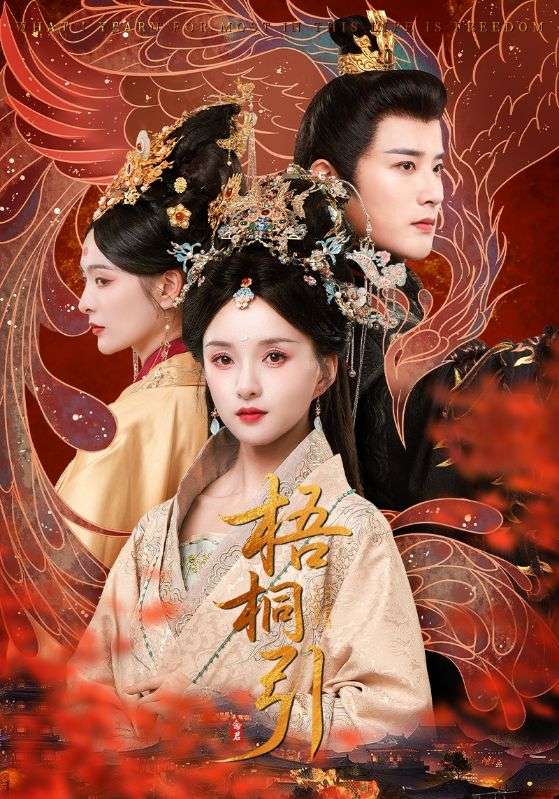 梧桐引第26集