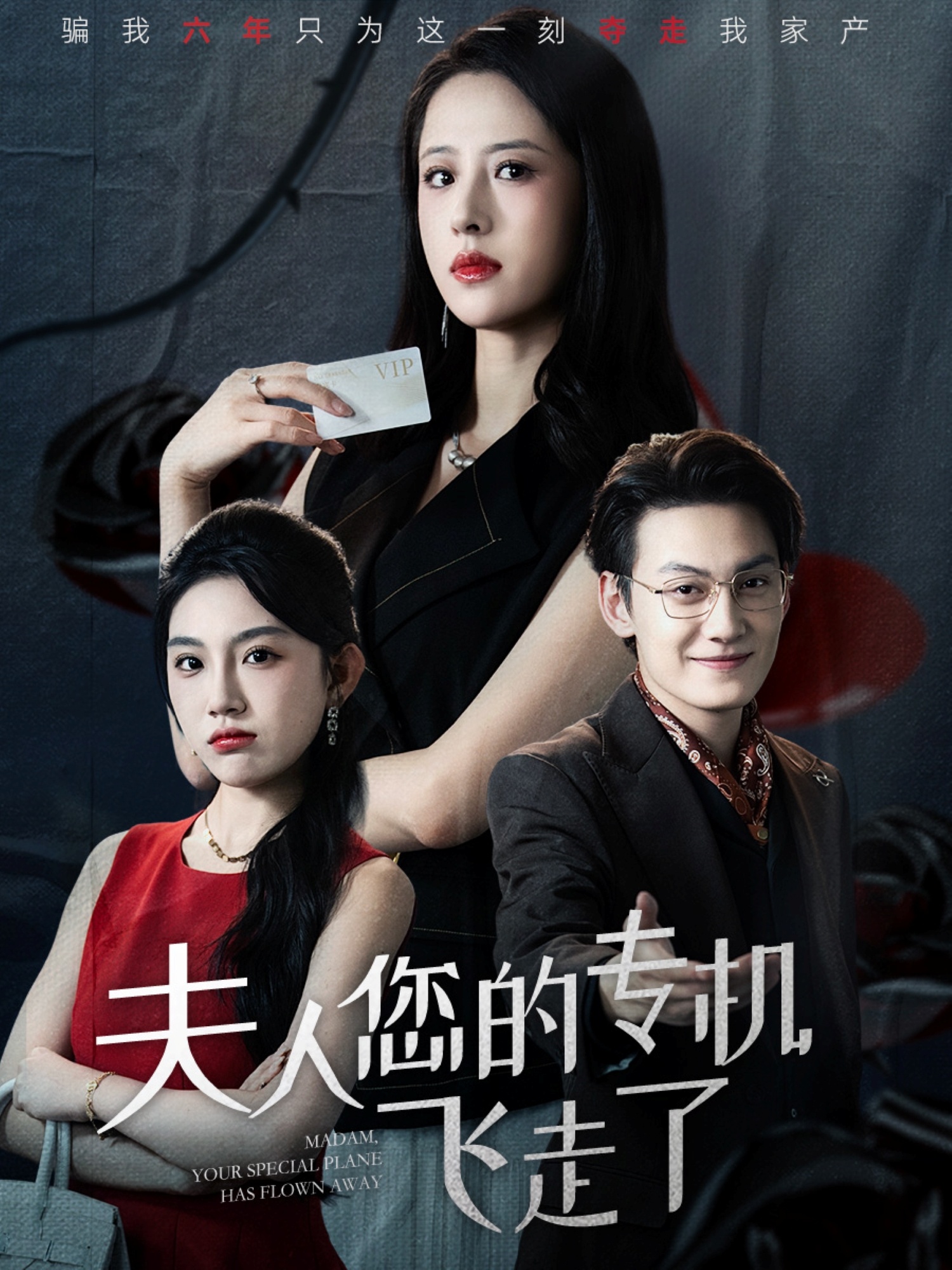 夫人您的专机飞走了第33集