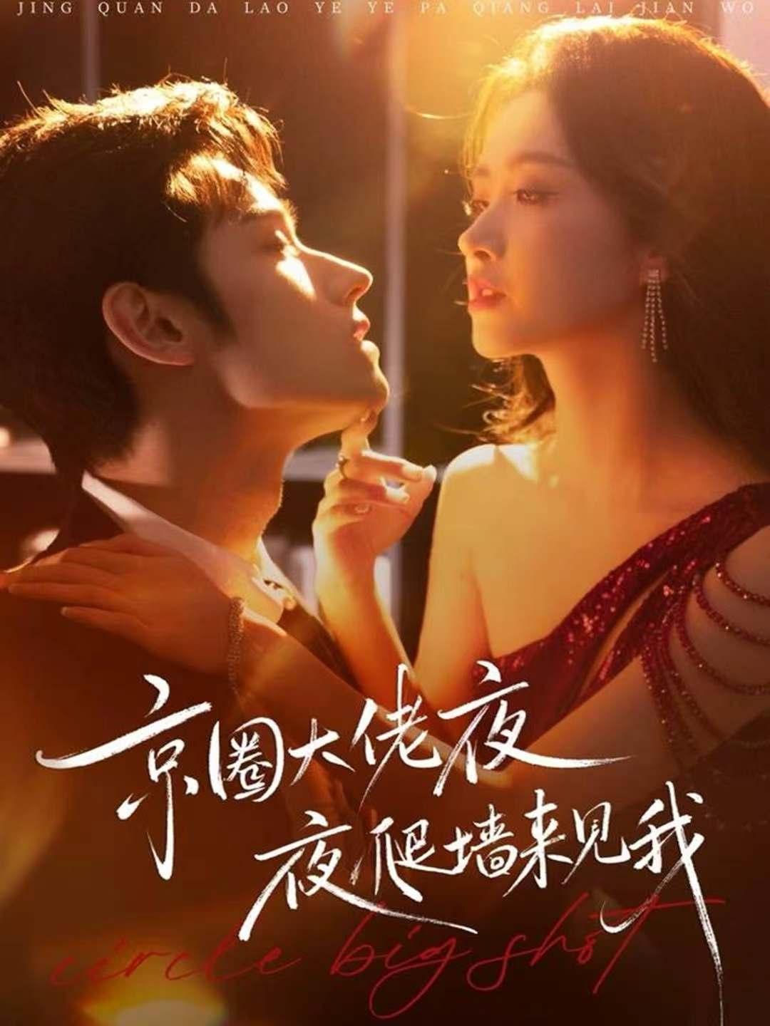 京圈大佬夜夜爬墙来见我第13集